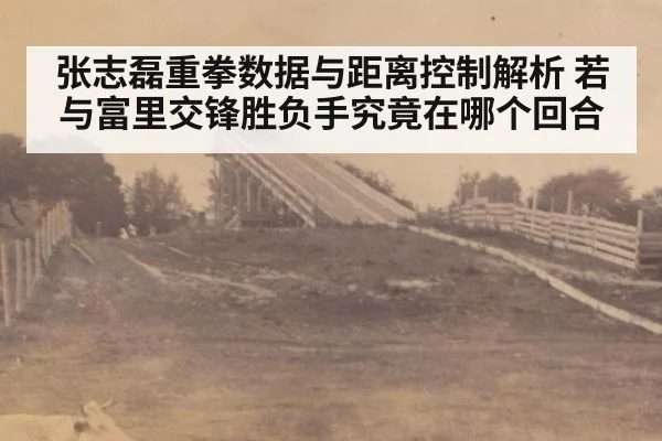 张志磊重拳数据与距离控制解析 若与富里交锋胜负手究竟在哪个回合