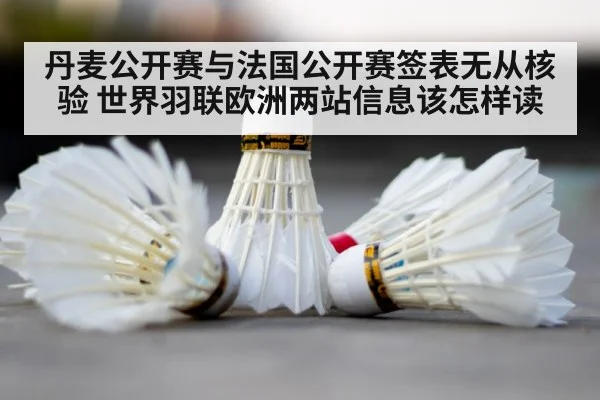 badminton shuttlecock close up